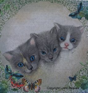 Squished CP e-Packet